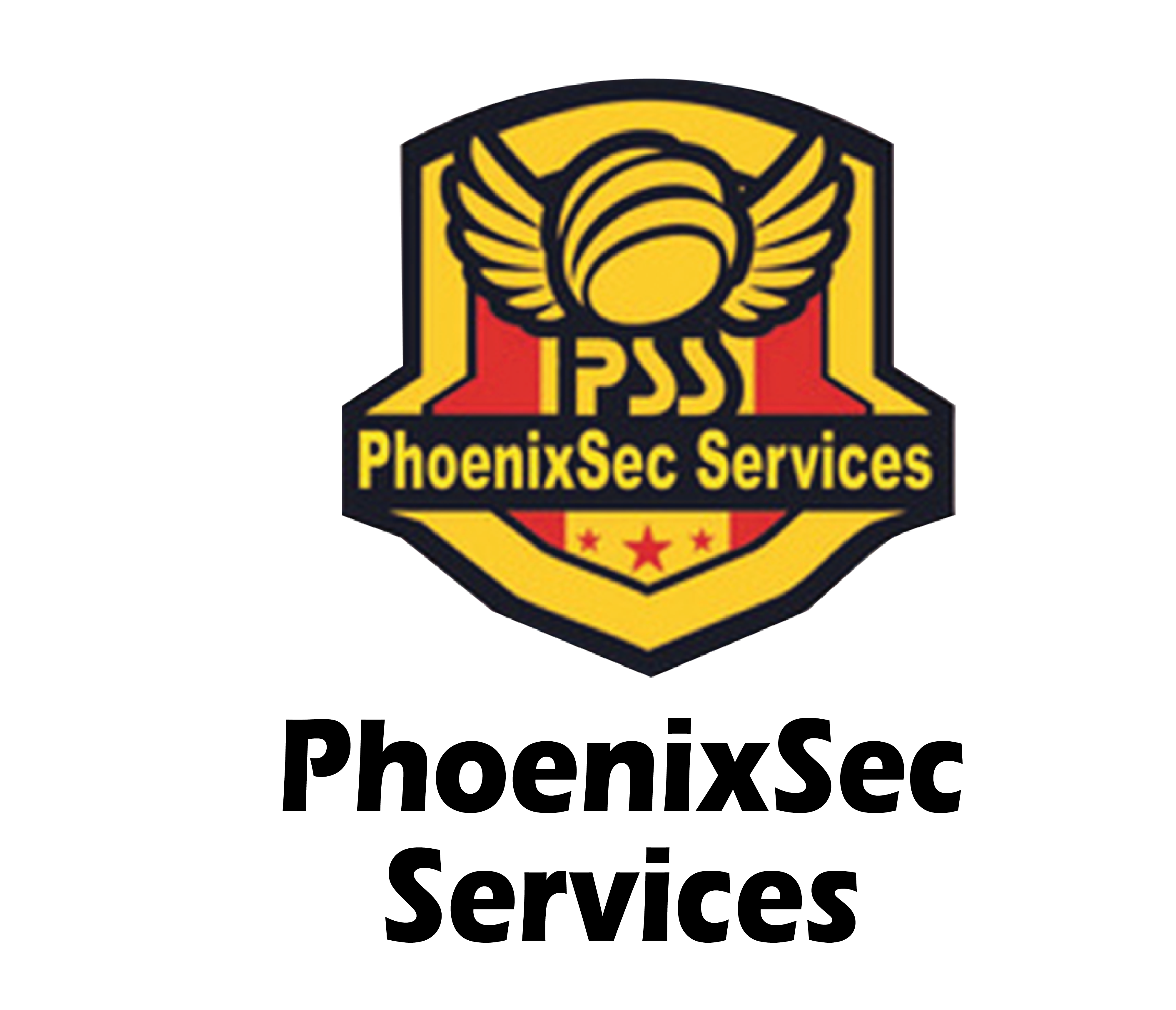 PhoenixSec Services